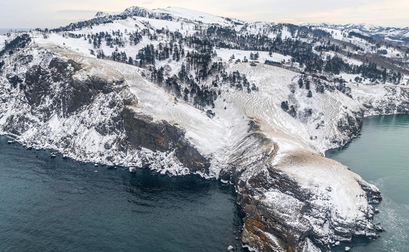 В МИД России назвали закрытой тему мирного договора с Японией