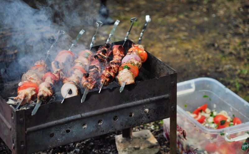 В Москве ввели систему бронирования беседок для шашлыков