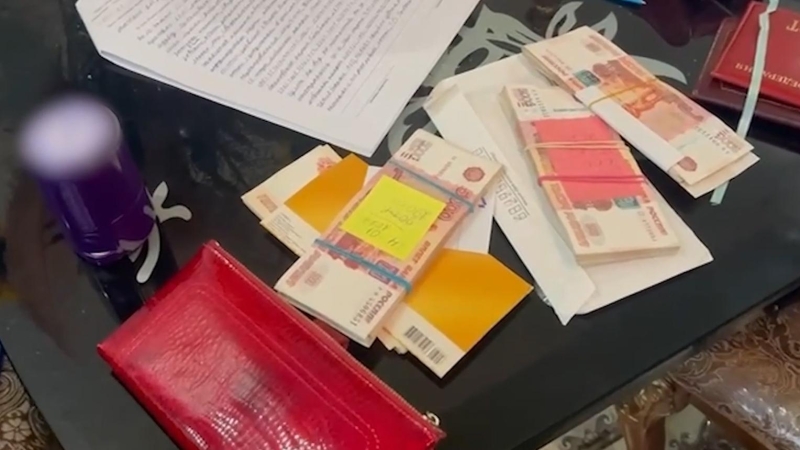 В Москве задержали &laquo;банду&raquo; из Института Пушкина по делу о мигрантах