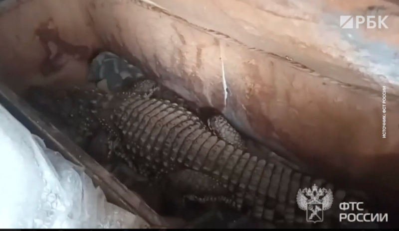 В Мурманской области назвали имя временного губернатора