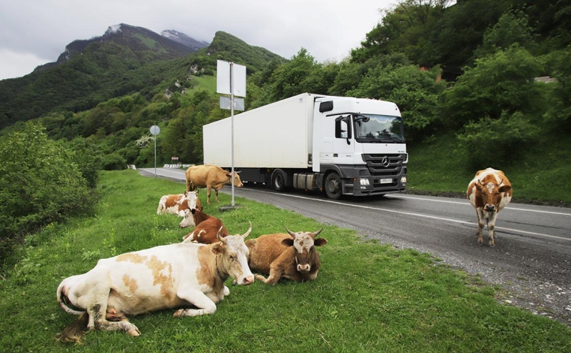 В МВФ оценили влияние геополитических шоков на международную торговлю