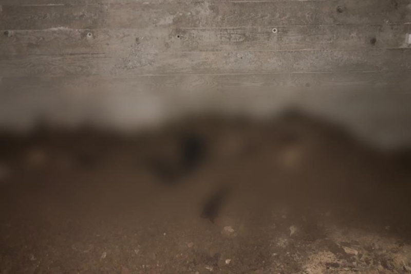 В Новой Москве помощник по дому убил депутата из Югры