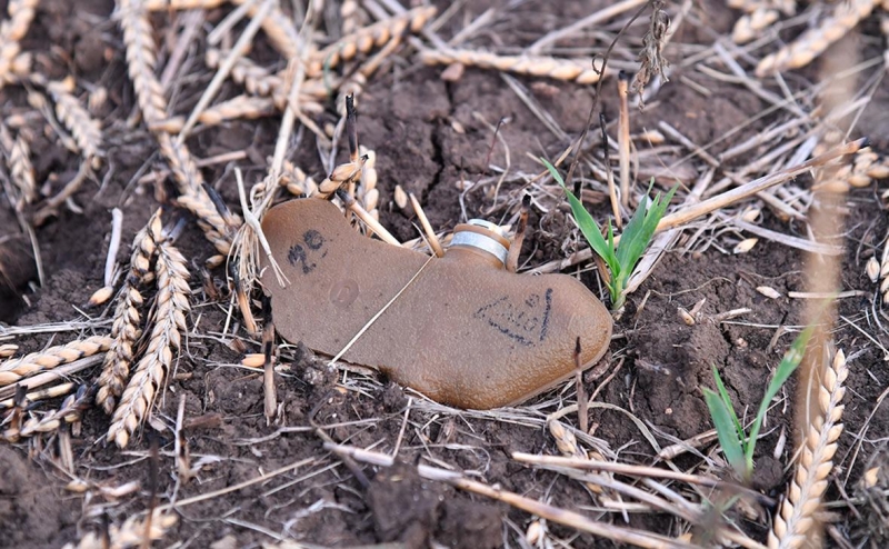 В офисе Зеленского предложили вывести Украину из Оттавской конвенции