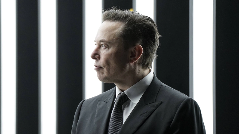 В парке &laquo;Патриот&raquo; начались следственные действия