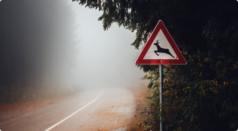 В Польше заявили о «конце лжи» про роль России в крушении Ту-154