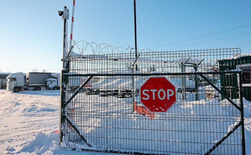 В порту Петербурга нашли кокаин из Никарагуа на ₽11 млрд