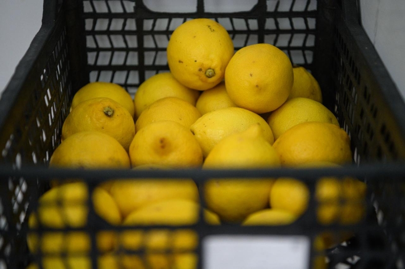 В Роскомнадзоре сообщили о требованиях к Telegram удалить канал