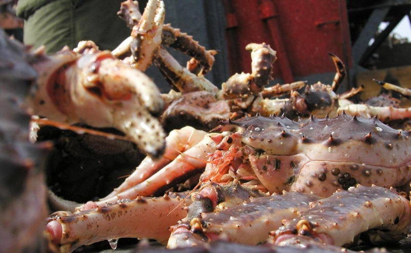 В Росрыболовстве признали убытки верфей на ₽42 млрд