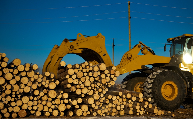 В России начал снижаться объем заготовки древесины
