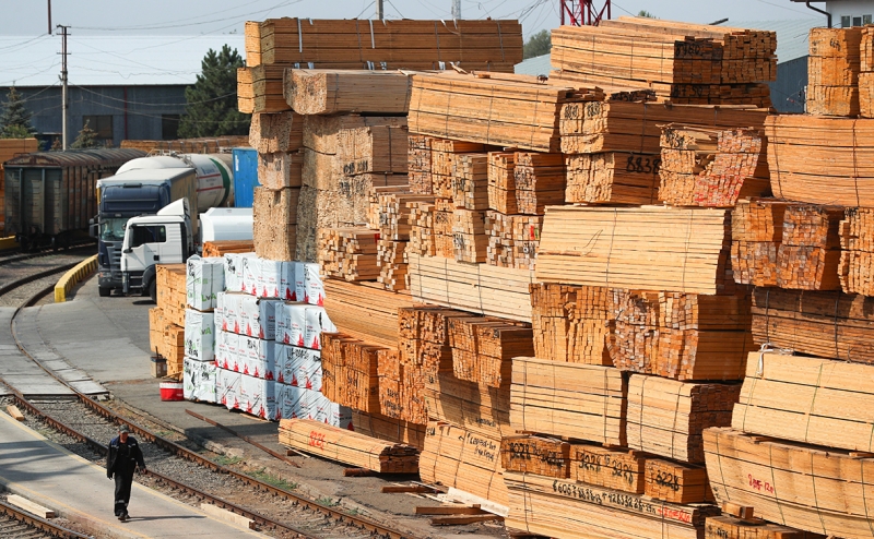 В России начал снижаться объем заготовки древесины