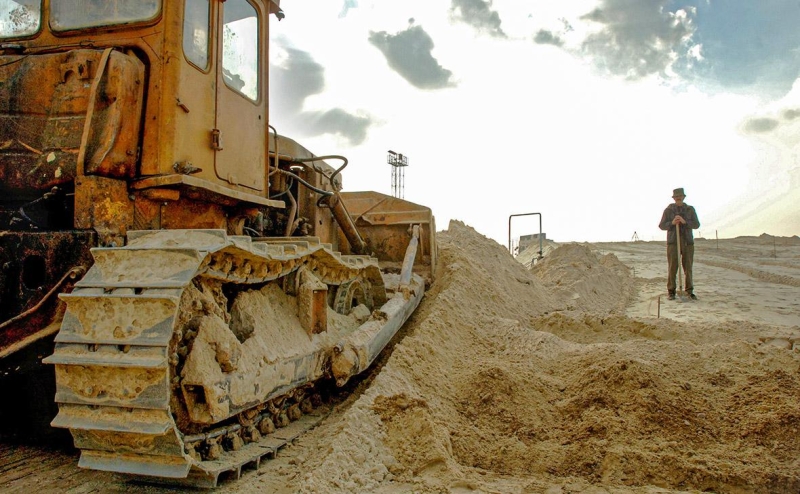 В России определят спецземли для рисоводства