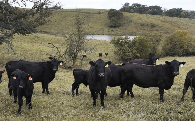 В России ускорилось накопление парниковых газов