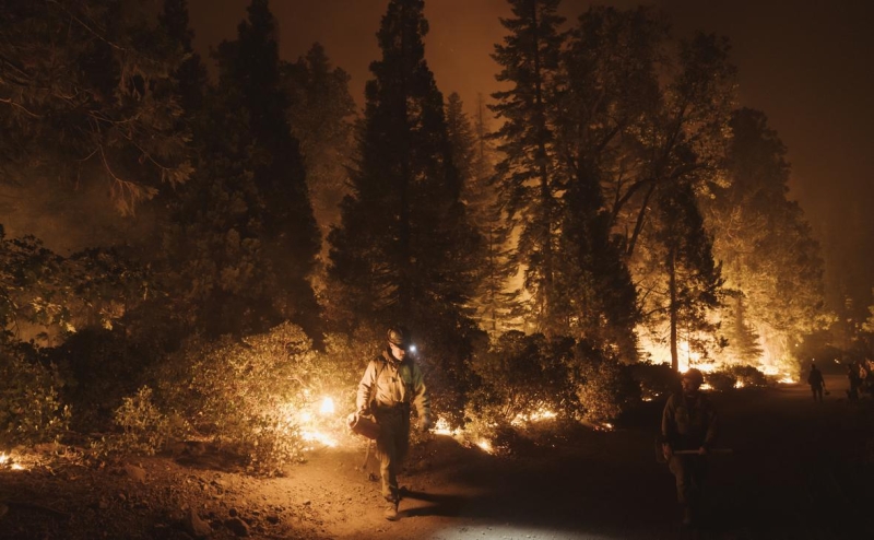 В России ускорилось накопление парниковых газов