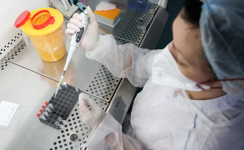 В России впервые с марта выявили более 53 тыс. случаев COVID-19