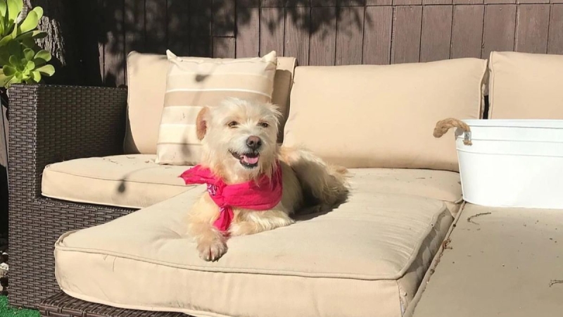 В России ввели штрафы за спам-звонки до ₽1 млн