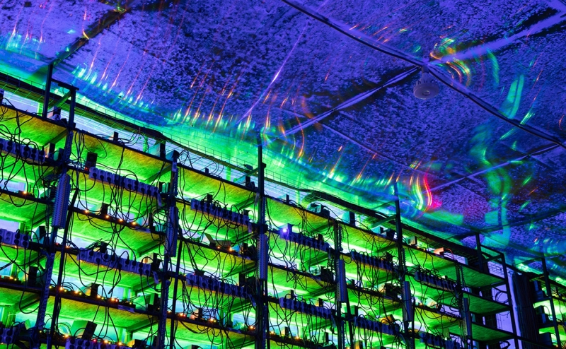 В России завели первое дело о растрате активов криптовалютной биржи