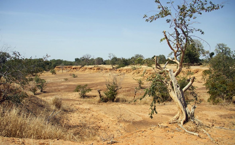 В РСМД назвали соперников России за влияние на &laquo;военную тройку&raquo; Африки