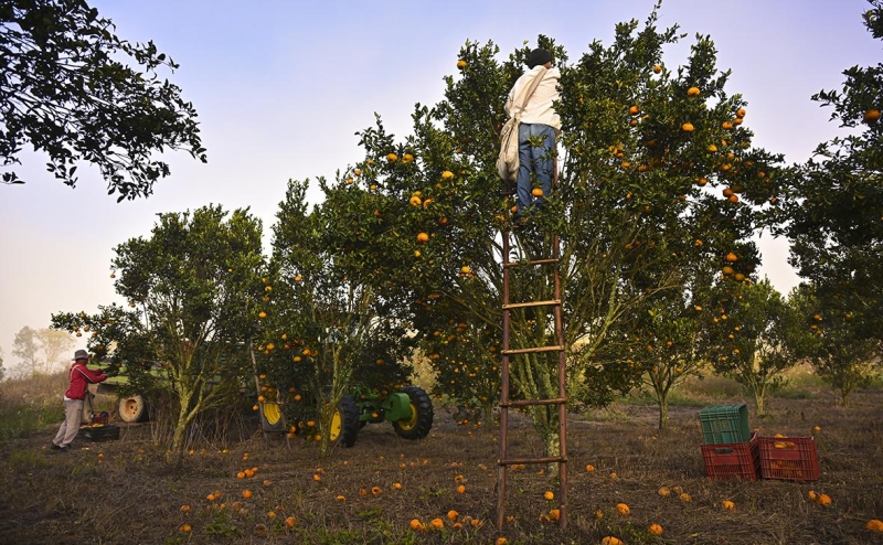 В РСМД сочли нецелесообразным переход на расчеты в нацвалютах с
