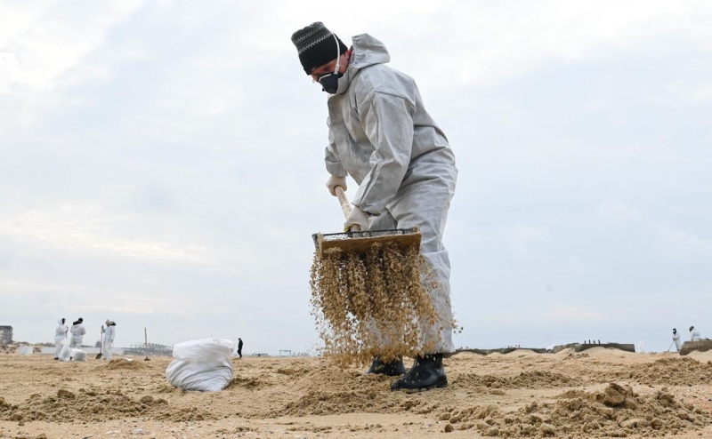 В РСТ оценили последствия закрытия пляжей Анапы
