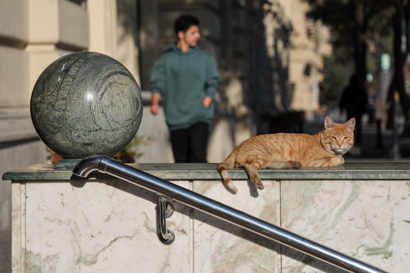 В &laquo;Русагро&raquo; прокомментировали обыски в офисах компании