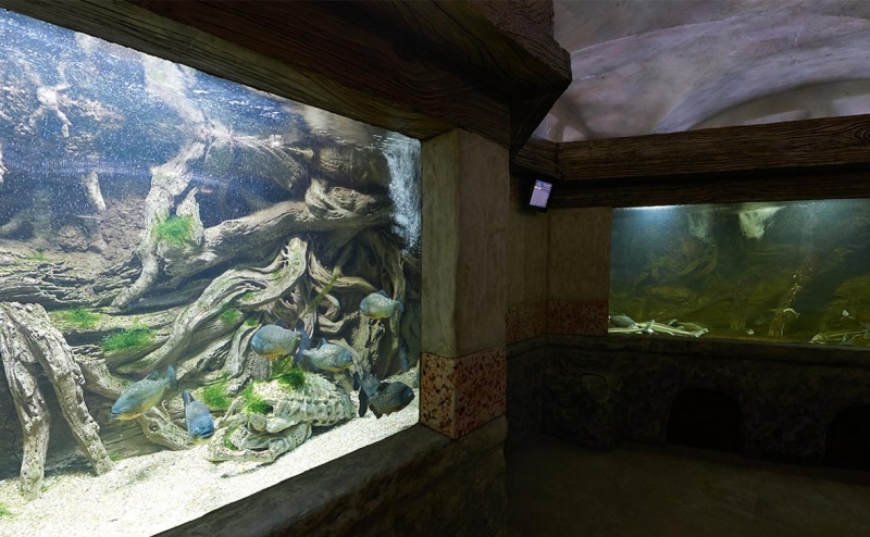 В Севастополе из-за шторма погибли 500 морских животных в