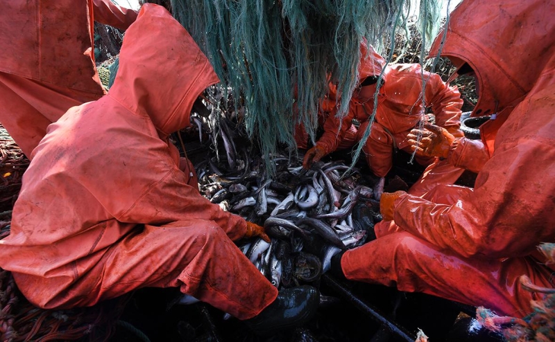 В собственность государства передали компании &laquo;крабовых королей&raquo;