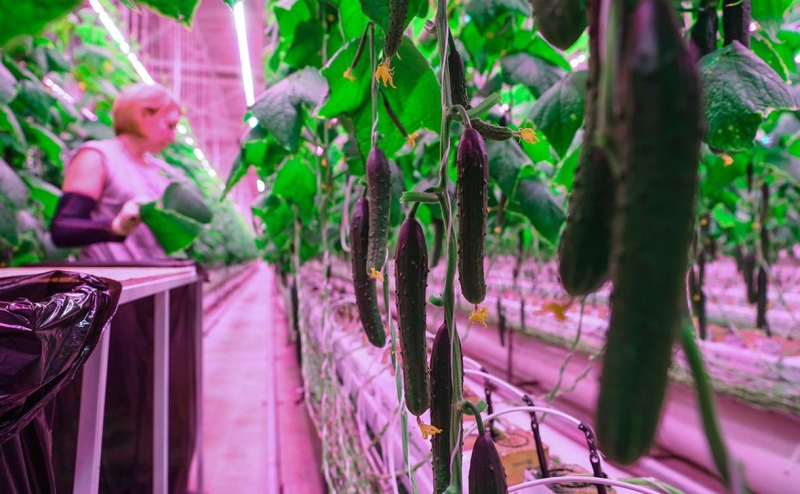 В Совбезе ООН призвали не допустить создание «машин-убийц» на основе