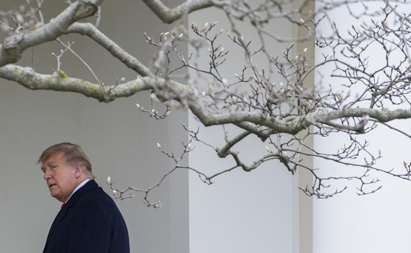 В США допустили усиление Трампом экономического давления на Россию