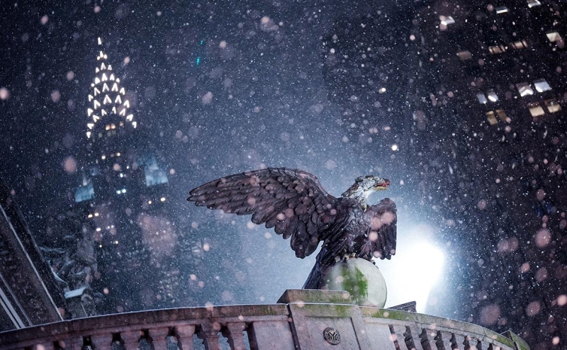 В США на фоне бурана отменили и задержали более 10 тыс. рейсов