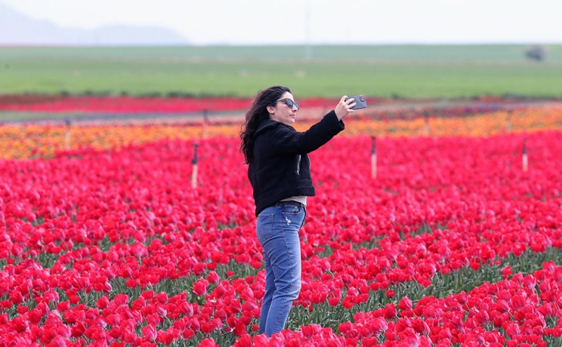 В США впервые подали в суд за копирование вайба фото в Instagram