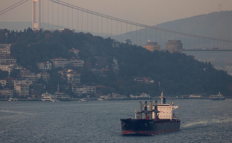 В Турции заявили об отказе Путина от разговора о зерне с Эрдоганом