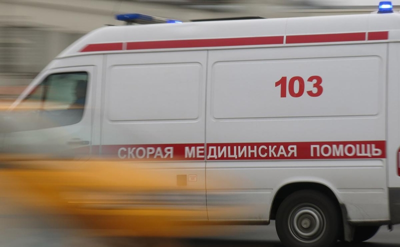 В Туве уволили министра и главу Авиалесохраны из-за смертельного ДТП