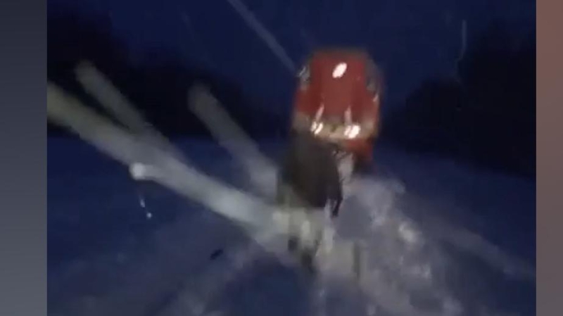 В Ульяновской области пассажирский поезд столкнулся с тепловозом