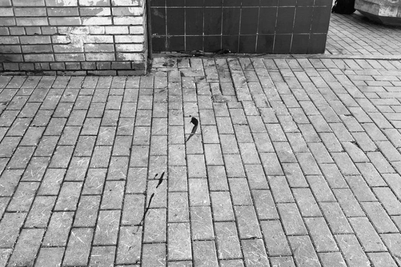 В «Запорожце» Гоши Куценко нашли тело женщины