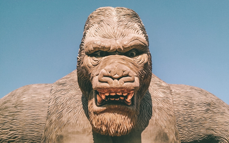 Варданян заявил о готовности стать &laquo;хоть уборщиком, хоть президентом&raquo;