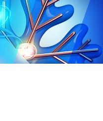 ВЭБ оценил объем финансирования проектов технологического суверенитета