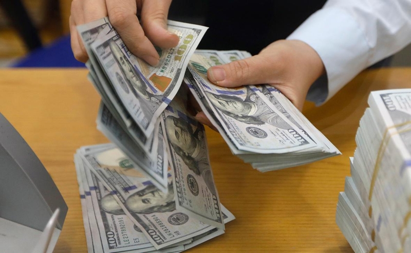 «Ведомости» узнали о решении властей пока не ужесточать валютный