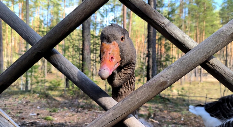 Вэнс исключил победу Украины в случае продолжения боев на годы