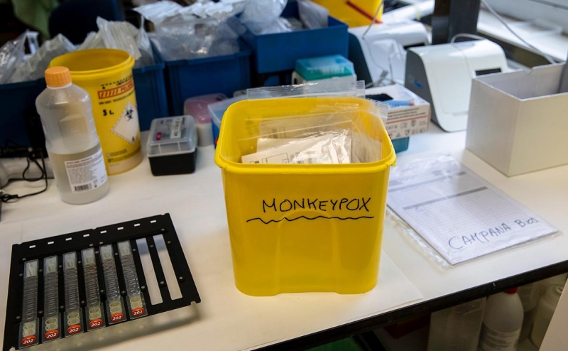 Вирусологи оценили риск эпидемии оспы обезьян в России