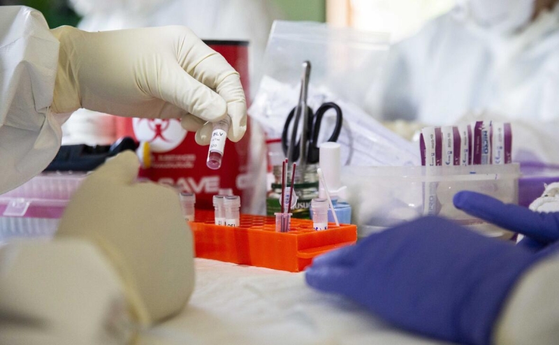 Вирусологи сообщили о &laquo;резервуарах в России&raquo; вспыхнувшего в Китае