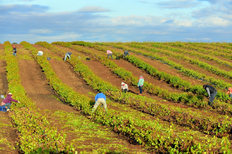 Власти изменят принцип выплаты налогов владельцами иностранных