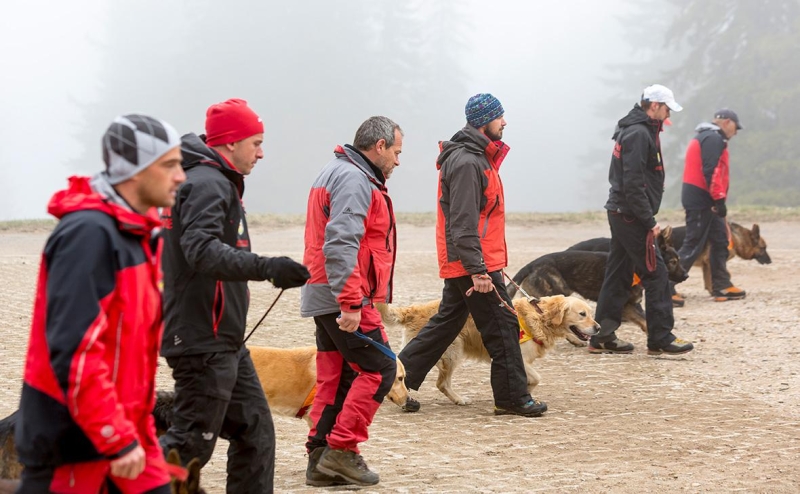 Власти Курской области уточнили число пропавших без вести