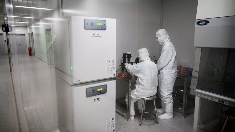 Власти начали обсуждать варианты сокращения трансфертов в Соцфонд