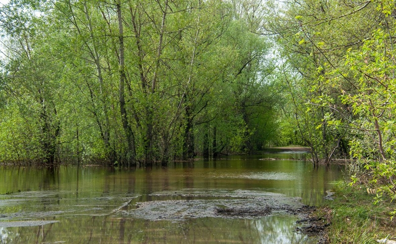 Власти назвали причину разрушения дамбы в Челябинской области