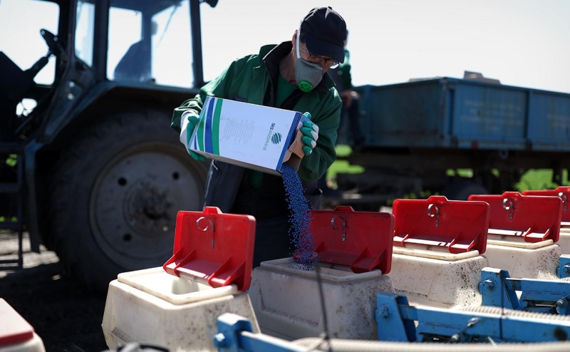 Власти обсудят ограничения на ввоз части семян из недружественных