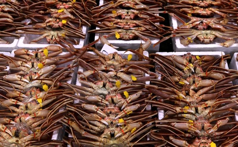 Власти оценили доходы бюджета от аукционов по минтаю и крабам в ₽300