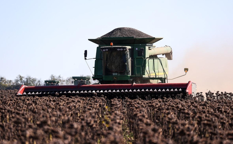 Власти продлят действие пошлин на экспорт подсолнечного масла