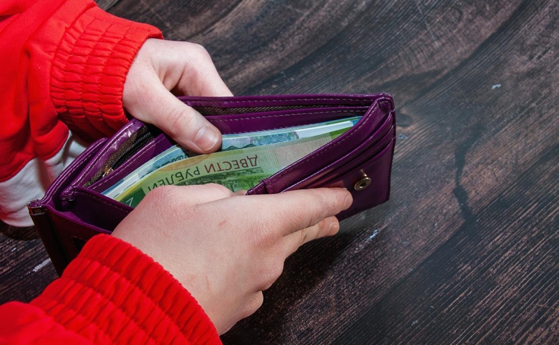 Власти решили установить, кто и почему в России не работает