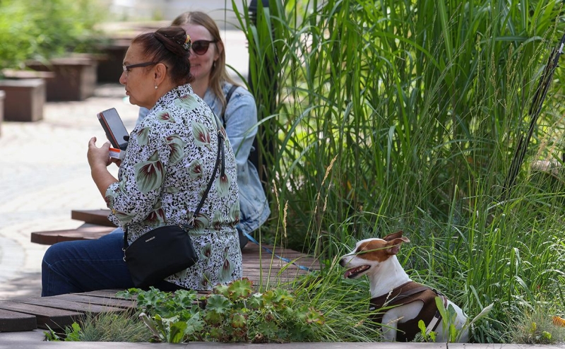Власти сделали бесплатными связь и интернет в девяти белгородских