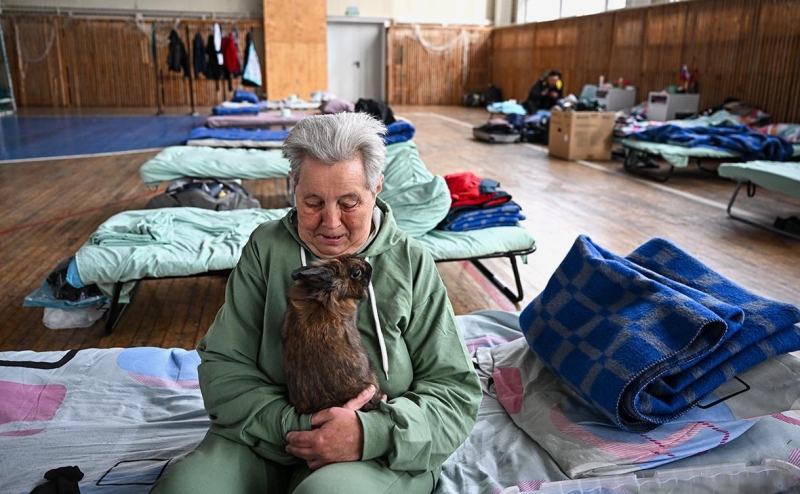 Власти сообщили о массированной атаке беспилотников в Курске